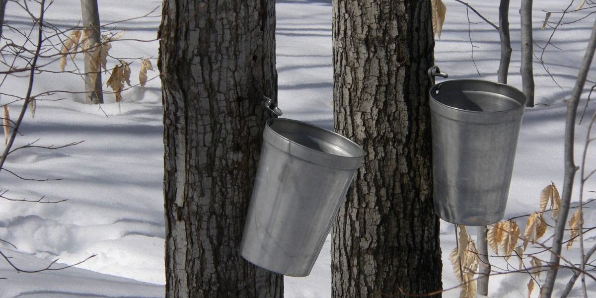 Les annees se comptent en printemps Les années se comptent en printemps