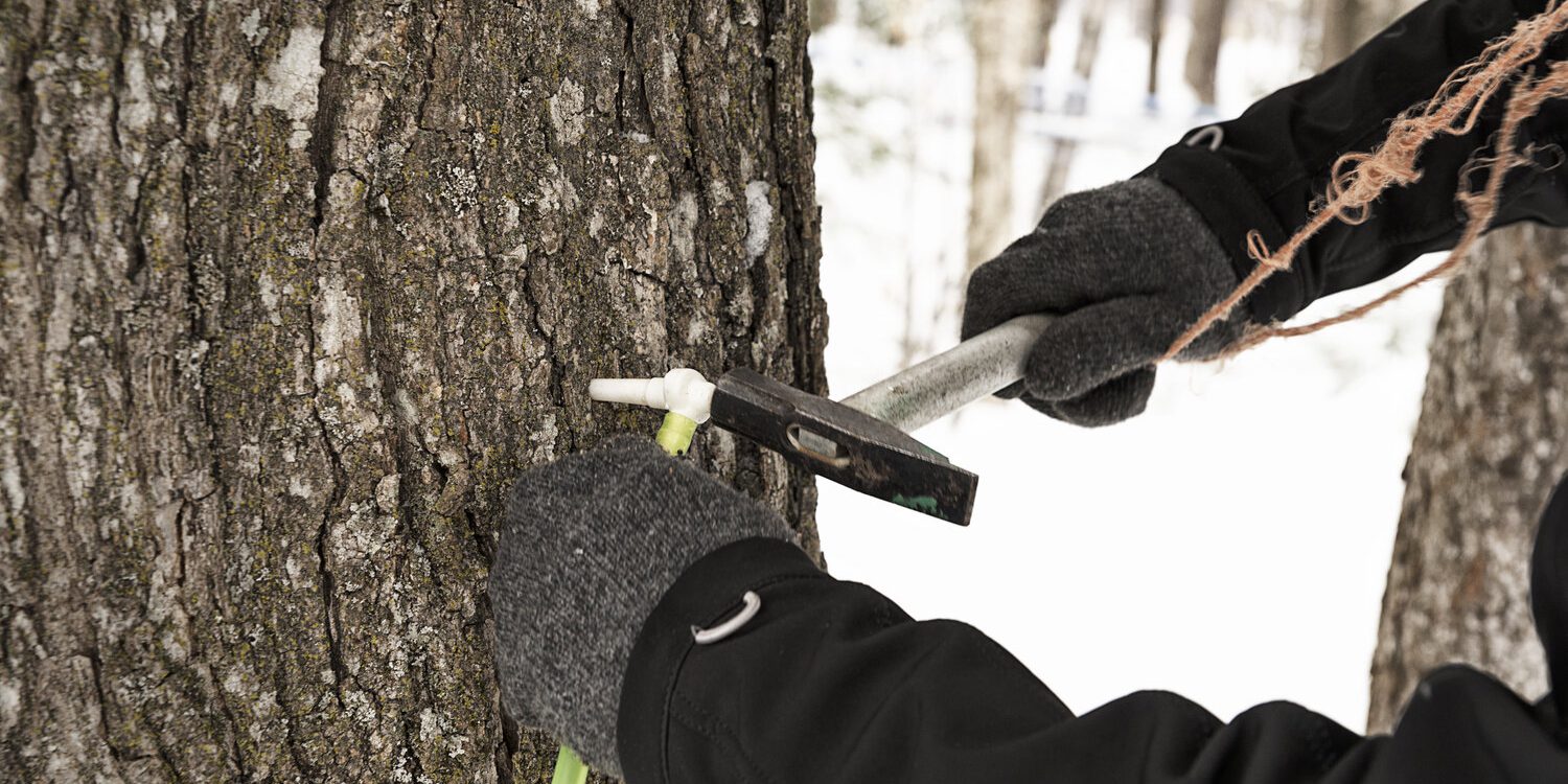 Entaillage Entaillage