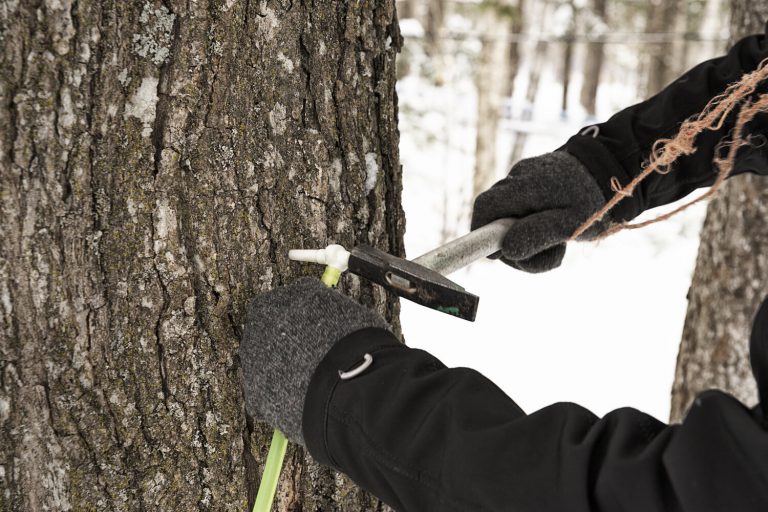 Entaillage Entaillage