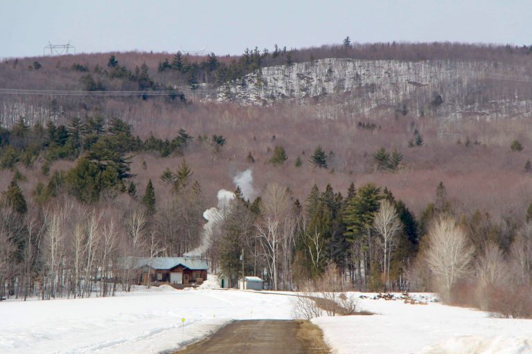 Cabane à sucre