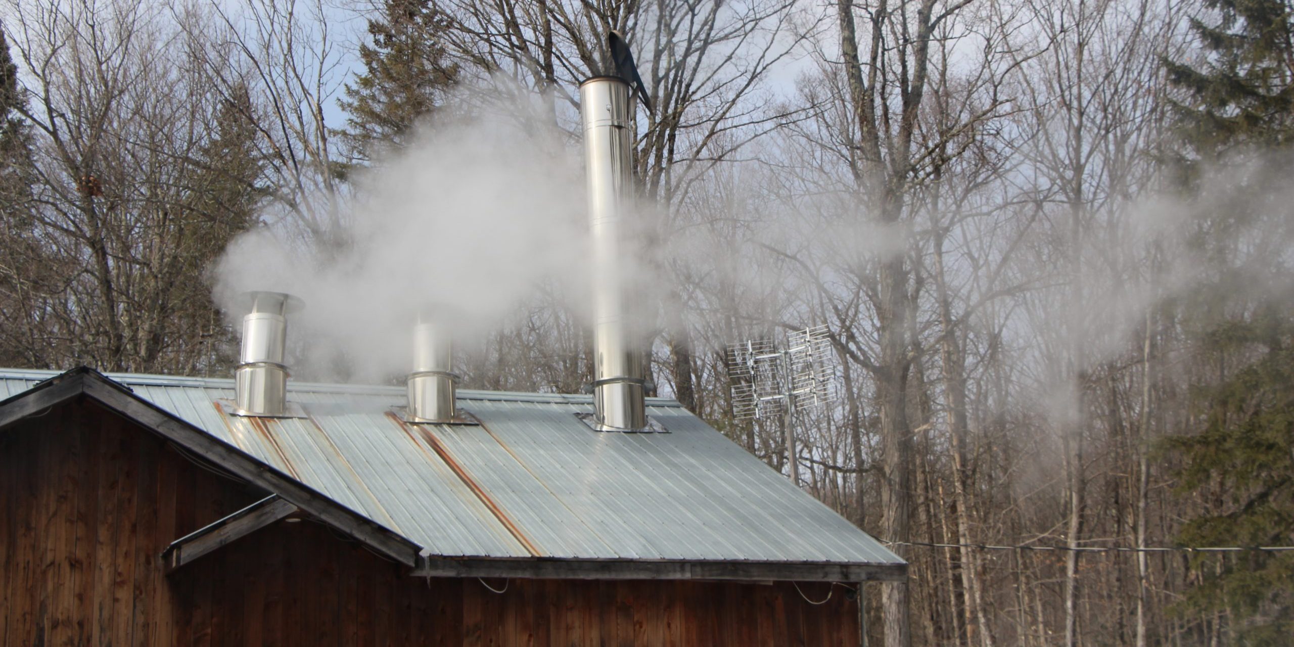 IMG_9202 saison sucre