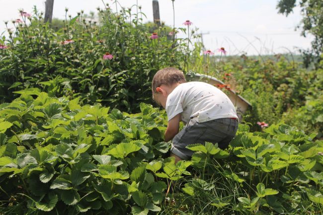 304998213_776069213448896_927592880654064598_n